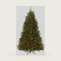 National Tree Company 9ft Pre-Lit Dunhill Fir Artificial Christmas Tree