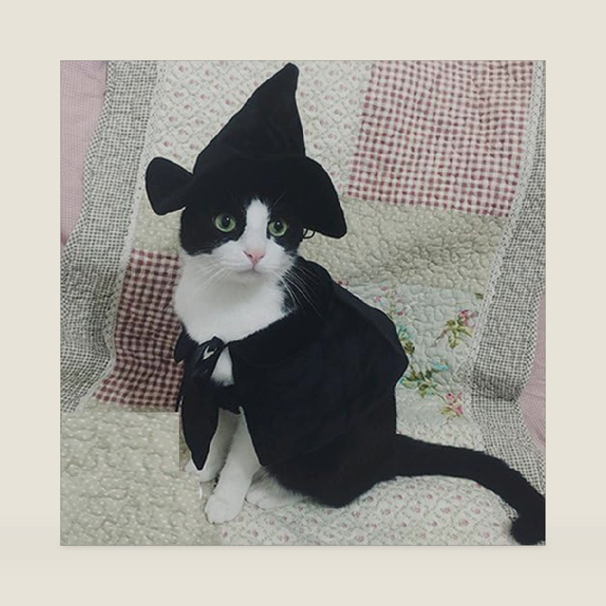 Cute Hooded Cloak Witch/Wizard Halloween Holiday Costume for Small Dogs & Cat Kitten, Cat Halloween Costumes