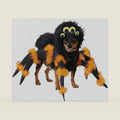 California Costumes, Spider Pup, Dog Costume Small