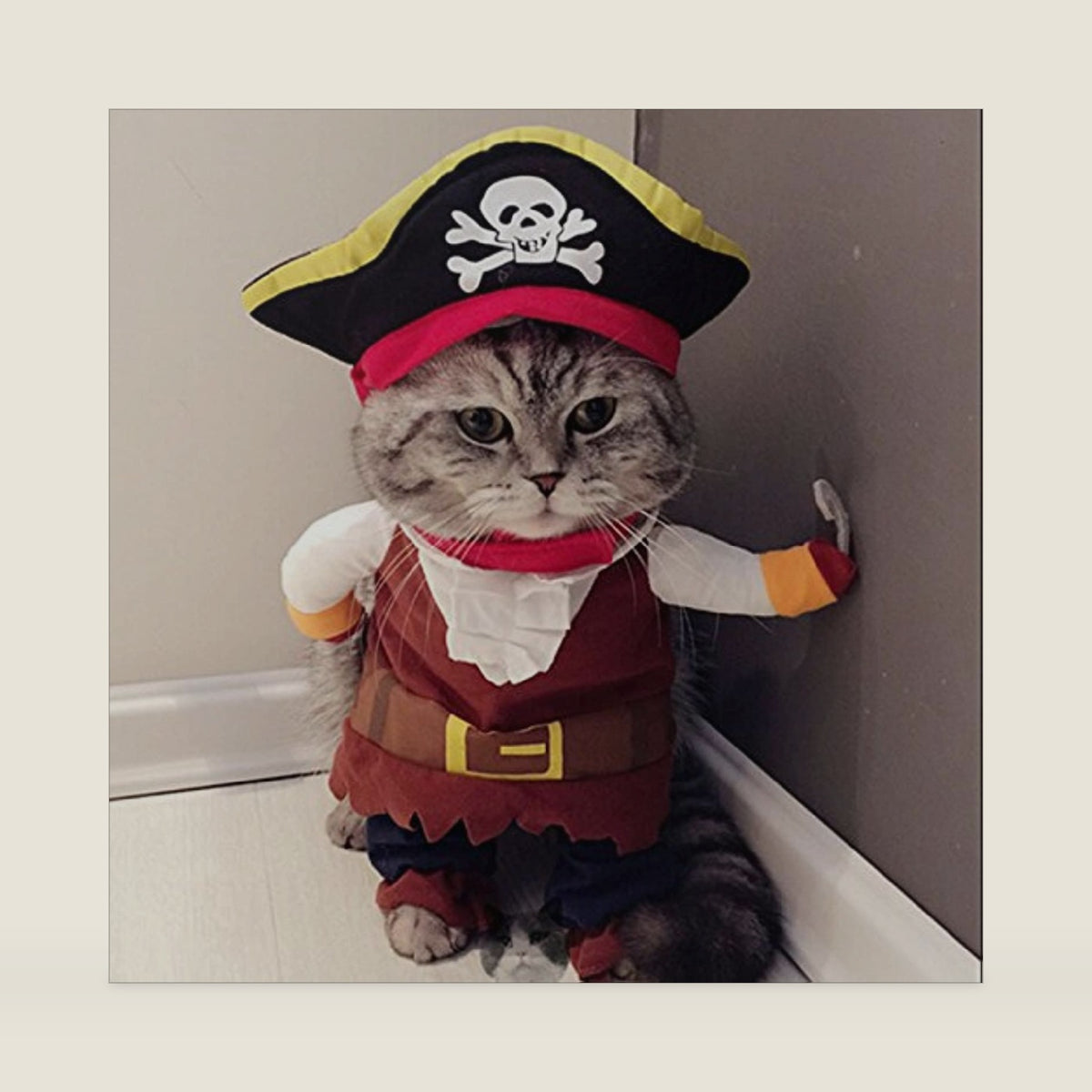 Idepet Funny Pet Clothes Pirate Dog Cat Costume Party Apparel