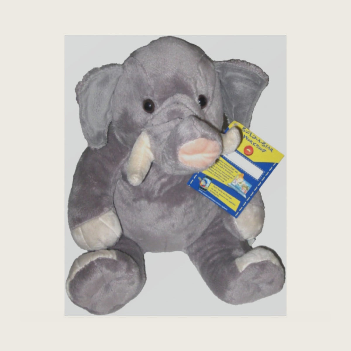 Workshop Asian Elephant