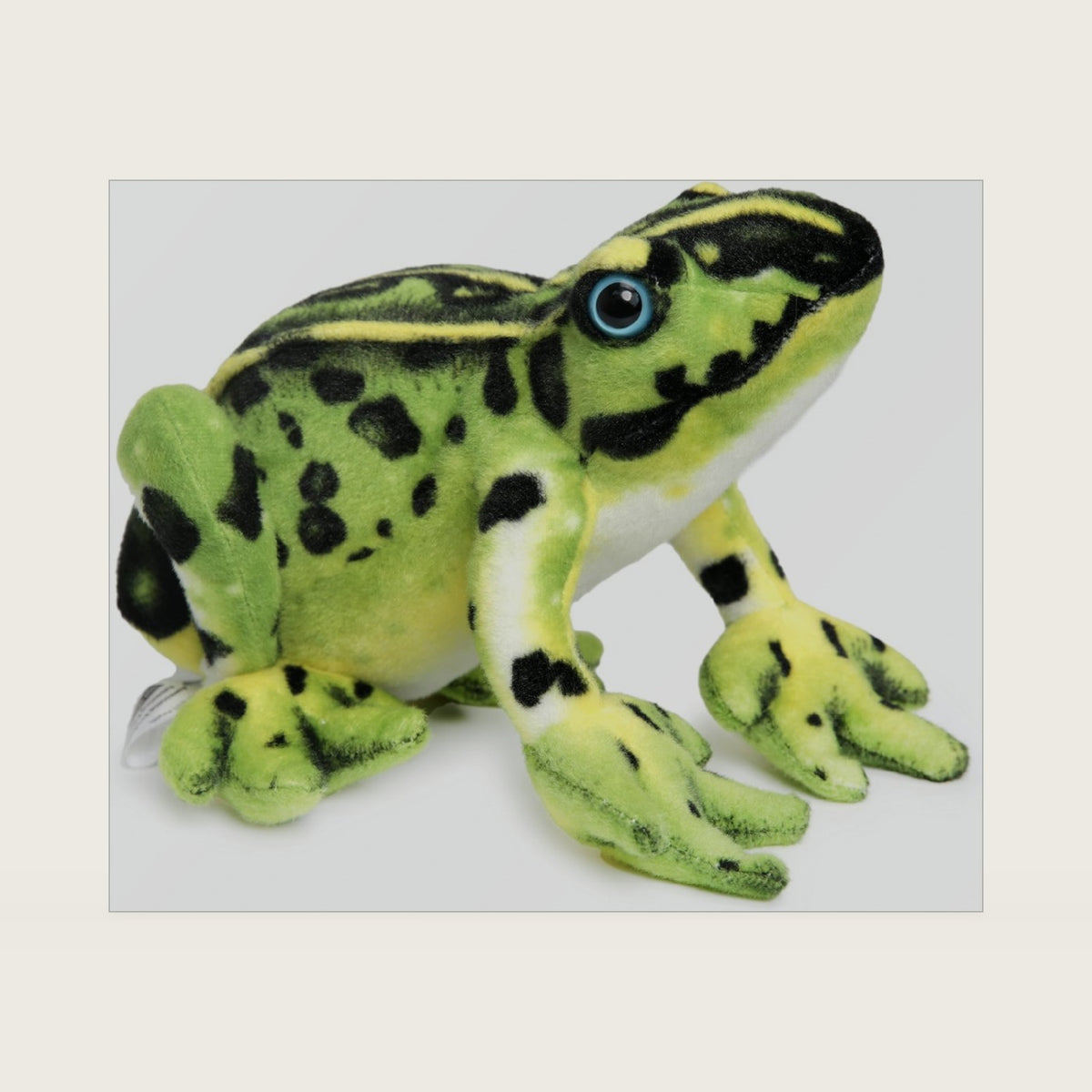TigerHart Frisco The Frog - 10 Inch Poison Dart Tree Toad Stuffed Animal Plush