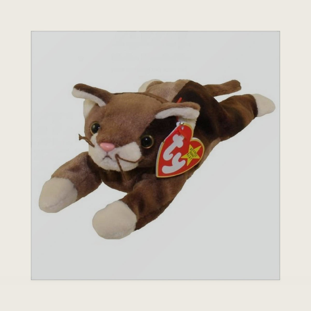 Pounce the Cat - Beanie Baby by ~BEANIES CATS