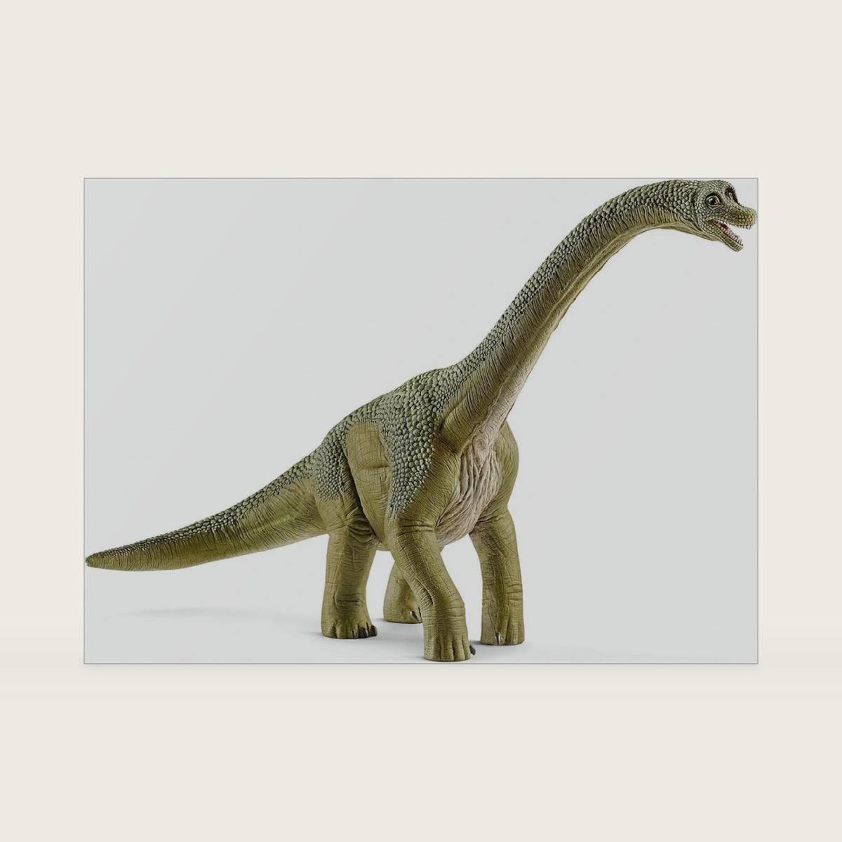 Schleich Dinosaurs - Brachiosaurus Toy Dino Figurine - Kids Ages 4+ | 14581