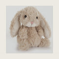Yummy Bunny Stuffed Animal