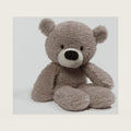 Fuzzy 13.5-Inch Classic Gray Teddy Bear Plush Toy for Ages 0+