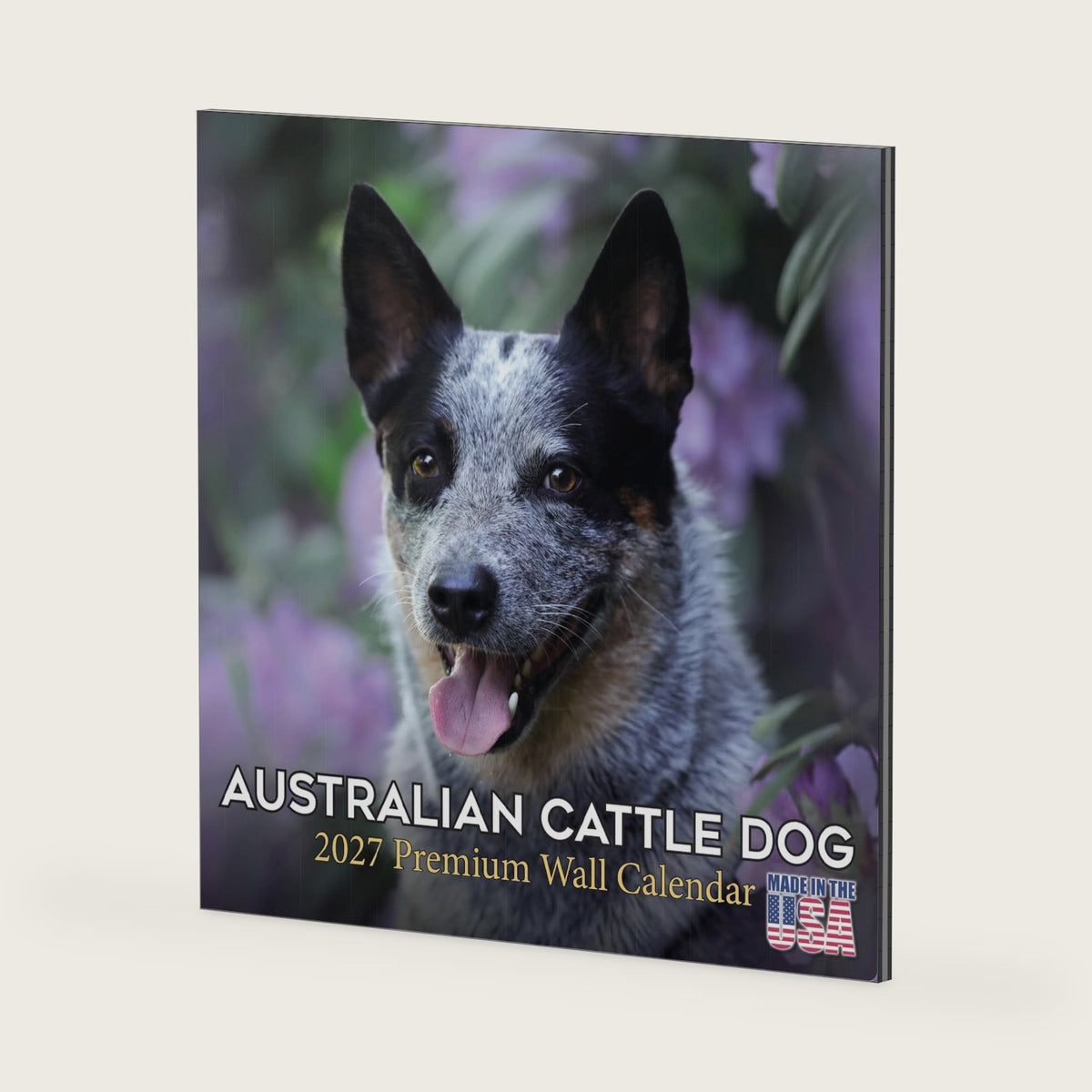 Blue Heeler Calendar 2027-16-Month 12x12 Wall Calendar