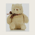 KIDS PREFERRED Baby Classic Winnie the Pooh and Friends Stuffed Animal original version 9 Inch, Pooh