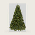 National Tree Company 9ft Pre-Lit Downswept Douglas Fir Christmas Tree