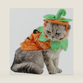ANIAC Pet Pumpkin Costume Cat Halloween Hat Cloak Sets Puppy Poncho Dog Halloween Cosplay for Kitty Small Medium Sized Dog