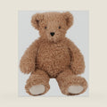 Vermont Teddy Bear Stuffed Animal Brown 18" | USA Bear Hospital Care