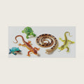 Learning Resources Jumbo Reptiles & Amphibians