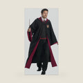 Charades Gryffindor Student Adult Costume