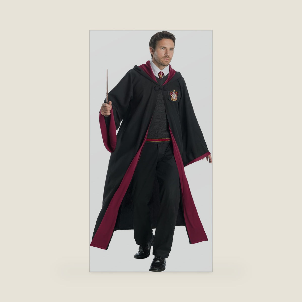 Charades Gryffindor Student Adult Costume