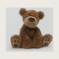 Grahm 12-Inch Classic Brown Teddy Bear Plush Toy for Ages 0+