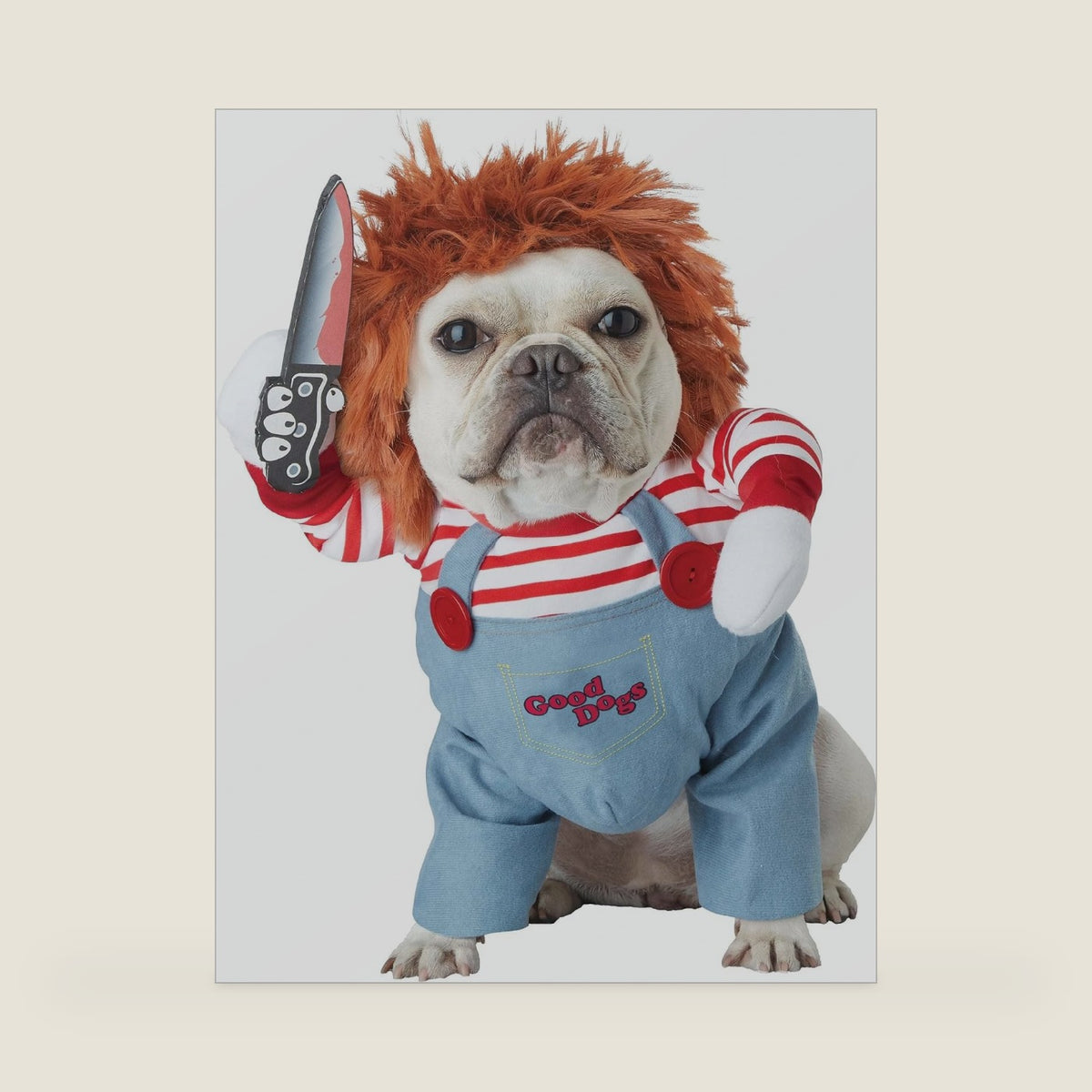 California Costumes, Deadly Doll, Dog Costume X-Small