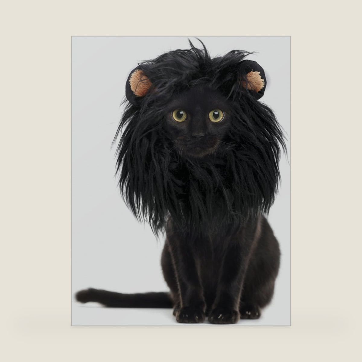 Onmygogo Lion Mane Wig for Cats and Dogs, Funny Pet Cat Costumes for Halloween Christmas, Furry Pet Clothing Accessories