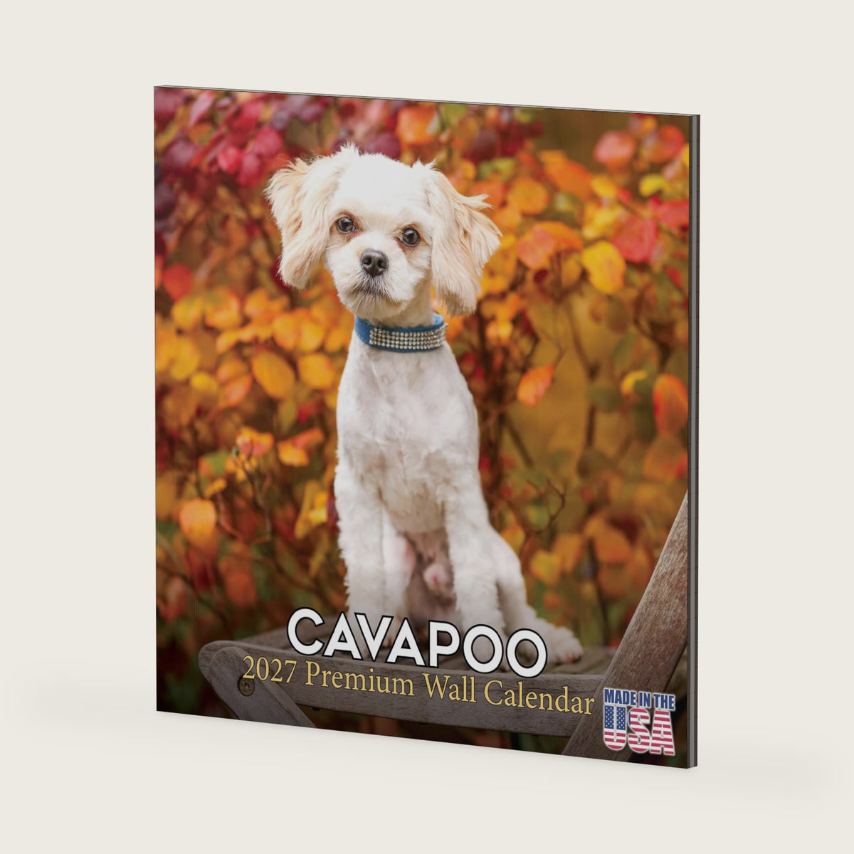 Cavapoo Calendar 2027-16-Month 12x12 Wall Calendar