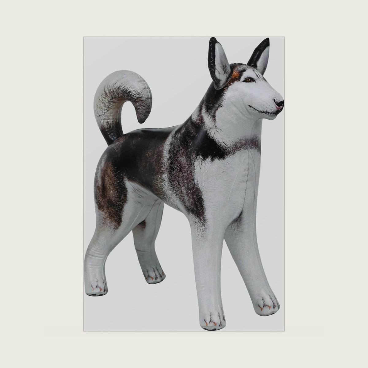 Jet Creations Inflatable Husky Dog Alaskan Pet Animal 32 inch Long for Party Decoration Gift Stuffed Animals Pool Toy an-Husky, Multi