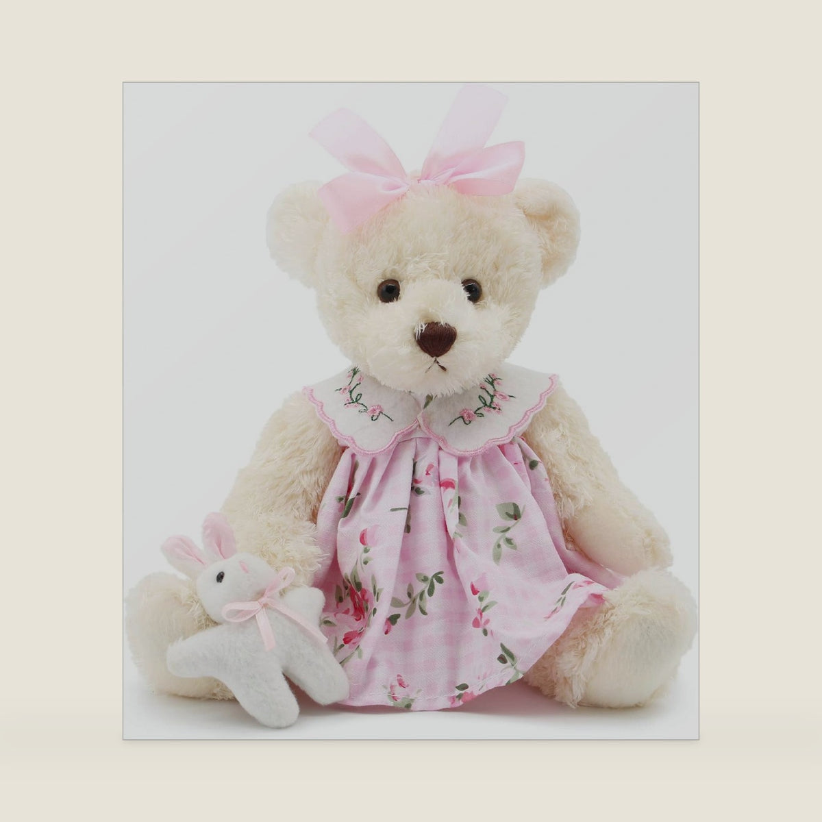 Oitscute Small Baby Teddy Bear with Cloth Cute Stuffed Animal Soft Plush Toy 10" (Pink Dress with Rabbit)