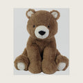 Lambs & Ivy Sierra Sky Brown Plush Bear Stuffed Animal Toy Plushie - Wally