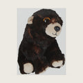 Beanie Babies Brown Bear Kodi - 15 CM