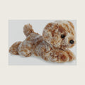 Mini Flopsie 8" Coco Lab Adorable Stuffed Animal