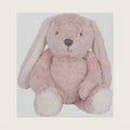 Lambs & Ivy Botanical Baby Plush Pink Bunny Stuffed Animal Toy - Hip Hop