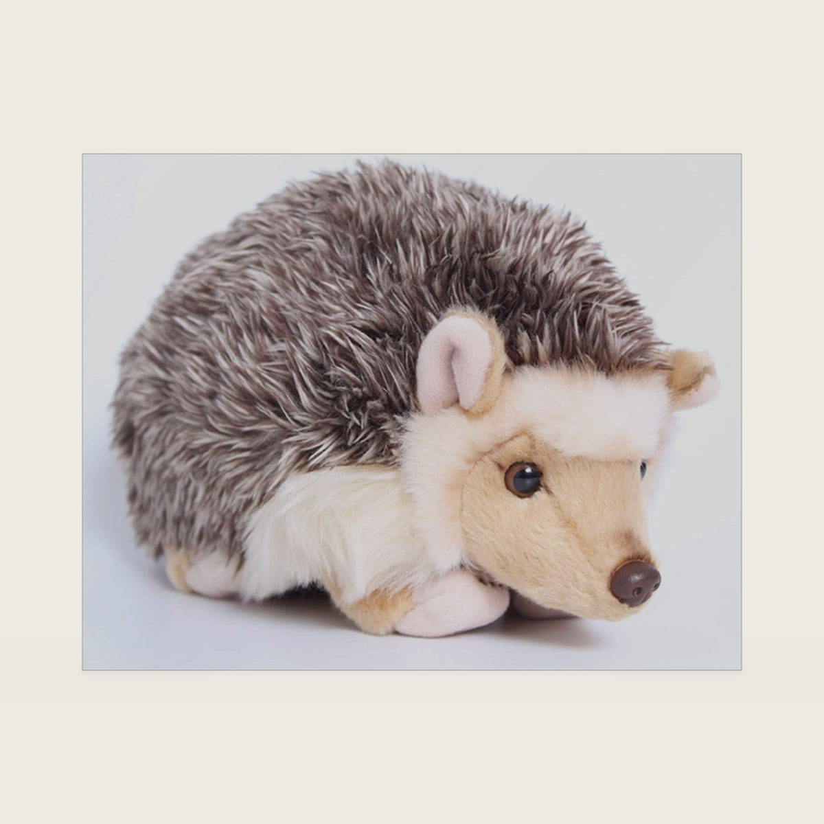 TAMMYFLYFLY Lifelike Hedgehog Plush Stuffed Animal Toy Desert Hedgehog Cute Animal Model (6 inches) (6 in(Pack of 1))