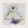warmies Junior Microwavable & Weighted Stuffed Animals, Marshmallow Bear- Heated Stuffed Animal Plushie for Warmth & Comfort - Cute Soft Plush Toys for Adults & Children