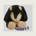 warmies Microwavable & Weighted Stuffed Animals, Dachshund Plush