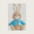 KIDS PREFERRED Peter Rabbit Stuffed Animal Plush Bunny, 9.5 Inches