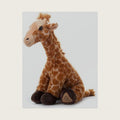 The Petting Zoo Giraffe Stuffed Animal Plush, Wild Onez, Kids Gifts, 13 in