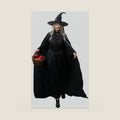 HOMELEX Adult Witch Hat & Cape Halloween Costume
