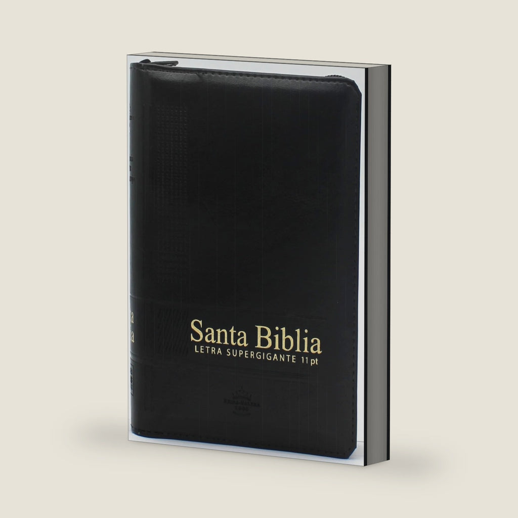 Biblia RVR 1960 Letra Grande 11pt, Palabras de Jesús en Rojo, con concordancia (Spanish Edition) (Spanish and Chinese Edition)
