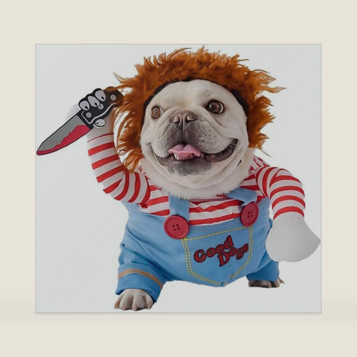 Pet Deadly Dog Costume, Cute Dog Cosplay Halloween Christmas Funny Pet Clothes Party Costume for Small Medium and Large Dogs (X-Large)
