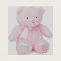 Jolitee My First Bear Stuffed Animal - Pink Teddy Bear for Baby for Newborn, 10"