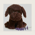 warmies Microwavable & Weighted Stuffed Animals, Chocolate Lab, Stuffed Dog