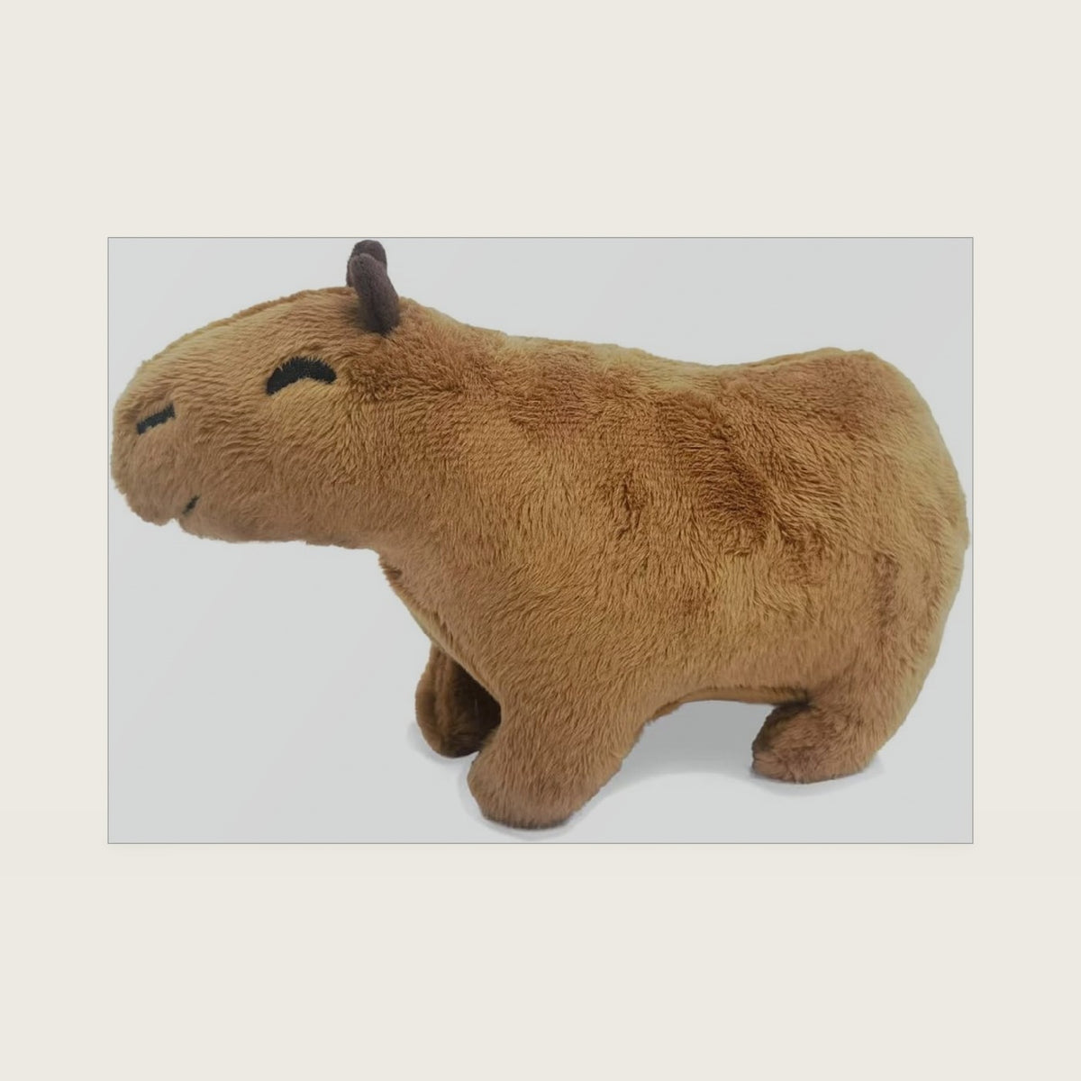 Capybara Plush Toy, Stuffed Capybara Gifts (7.8 inches)