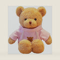 11.8 inches Teddy Bear Stuffed Animals Soft Plush Cute Teddy Bear Doll for Boys Girls (Pink)
