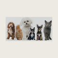 Custom Pet Shaped Pillows, Personalized Funny Pillow with Pet/Picture/People, Double Side 3D Printing Photo, for Birthday, Thanksgiving, Christmas, Halloween (8 inches)