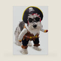 Funny Dog Costume Pirates of The Caribbean Style Cat Costumes Halloween Dog Clothes with Hat Small Medium Pet Kitty Cosplay Outfits Cute Prop Apparel for Halloween Party Accessories (Medium)