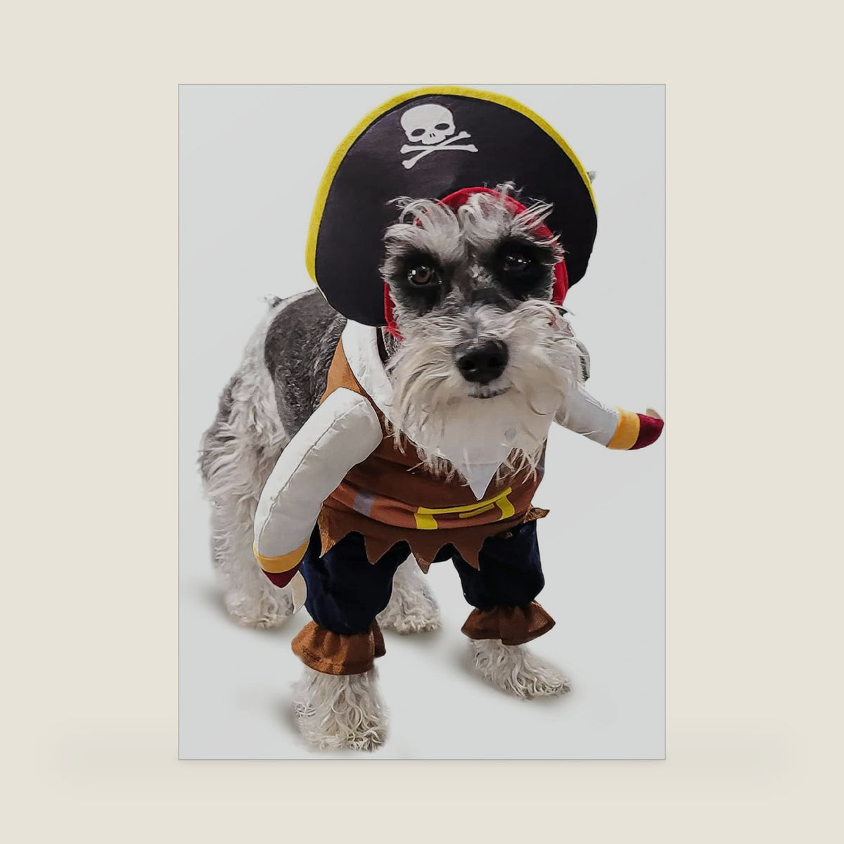 Funny Dog Costume Pirates of The Caribbean Style Cat Costumes Halloween Dog Clothes with Hat Small Medium Pet Kitty Cosplay Outfits Cute Prop Apparel for Halloween Party Accessories (Medium)