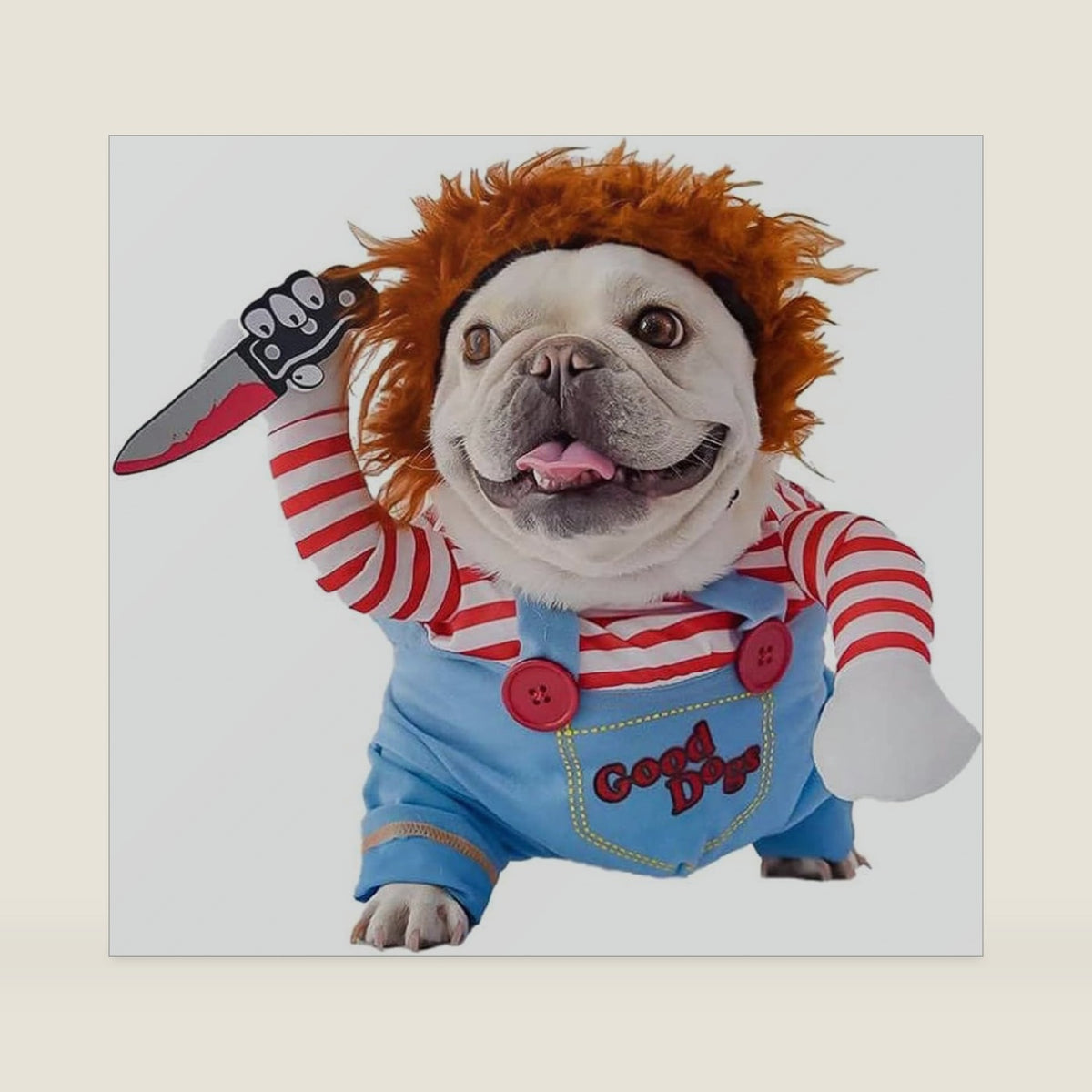 Deadly Doll Pet Costume, Funny Dog Cosplay Halloween Costume, Cute Clothes for Small to Large Dogs & Cats, Puppy Party Dress Up Apparel (Small)
