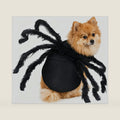 Pet Spider Costume Halloween Furry Giant Simulation Spider Apparel for Cats and Small to Medium Dogs Halloween Party Dress Up Festival Decoration Cosplay Costume (Small)