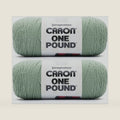 Caron One Pound Soft Yarn for Crocheting & Knitting, Succulent, 2-Pack
