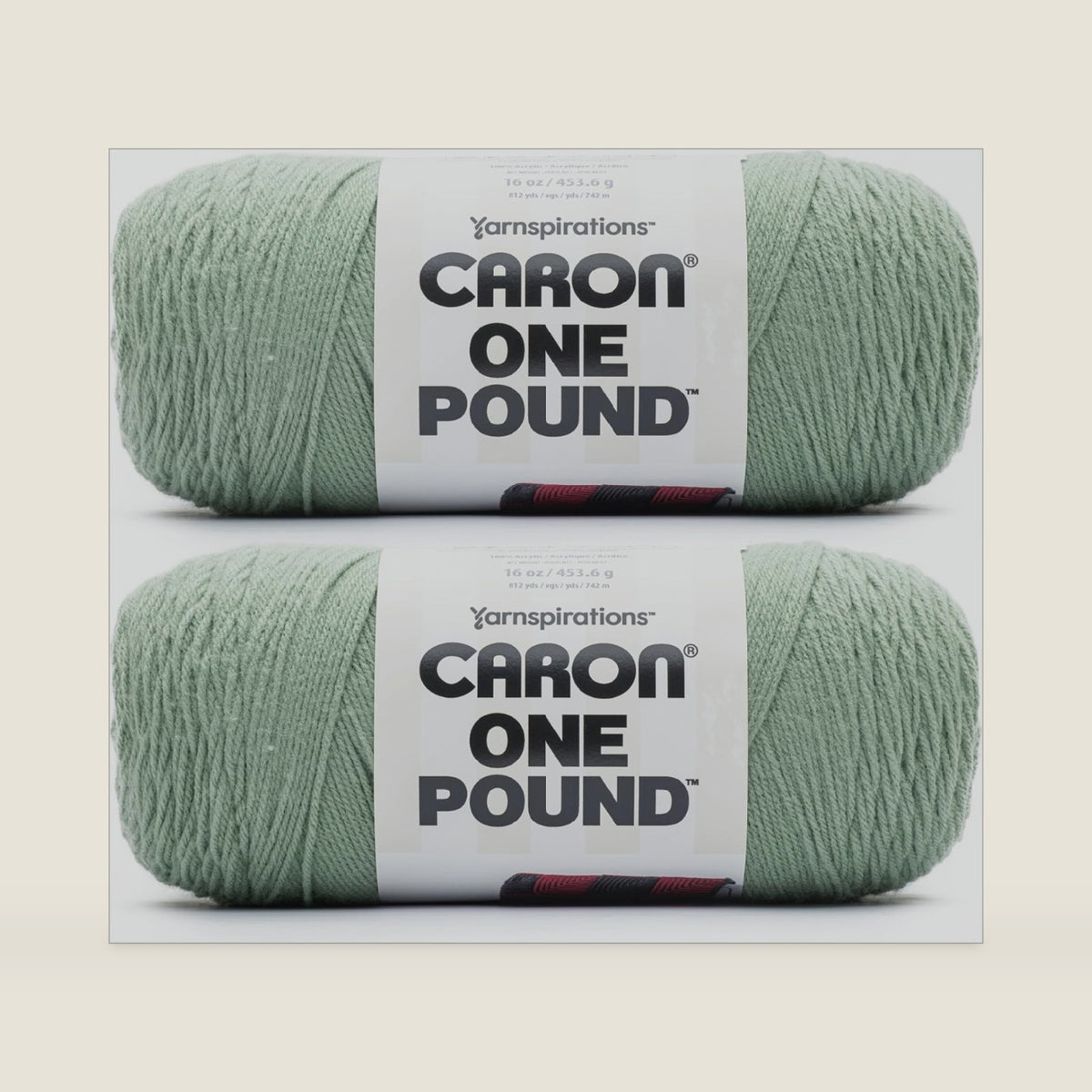 Caron One Pound Soft Yarn for Crocheting & Knitting, Succulent, 2-Pack