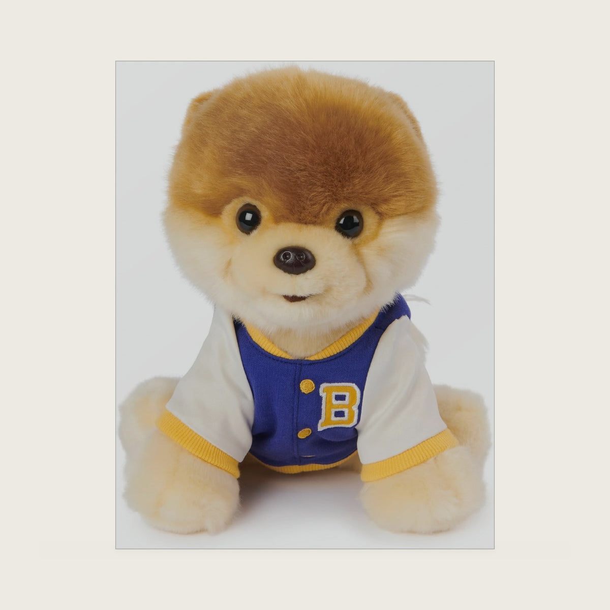 Boo, The World’s Cutest Dog Varsity Jacket Plush Pomeranian Stuffed Animal for Ages 1 and Up, 9”
