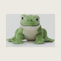 TAMMYFLYFLY Cute Realistic Green Frog Plush Toy Green Frog Stuffed Animal Lifelike Animal Doll 15cm