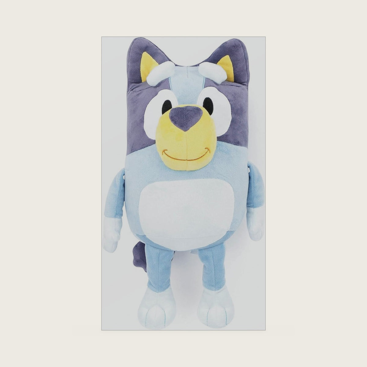 Bluey Cartoon Kids Plush Pillow Buddy, Blue